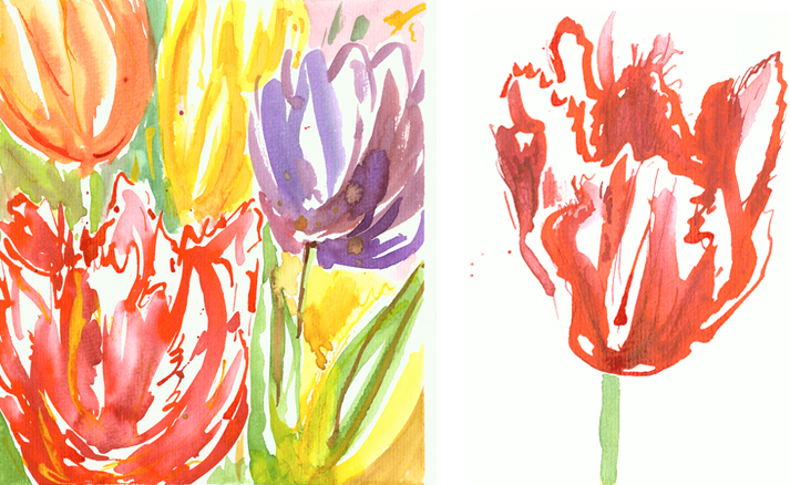 Tulpen2