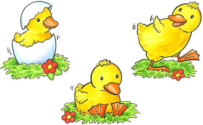 ente