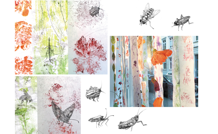 Insekten Mixed Media