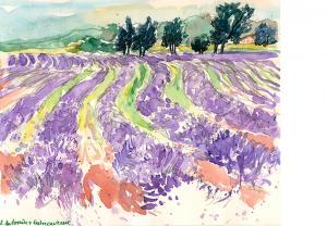 Provence