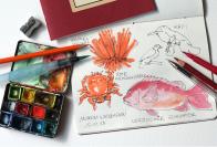 Museum Wiesbaden | 4