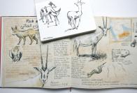 Museum Wiesbaden | 7