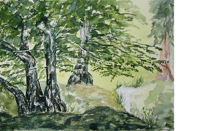 aquarell_017